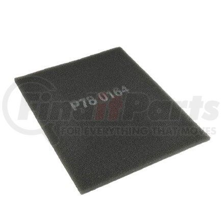 P780164 by DONALDSON - Air Filter, Primary Special