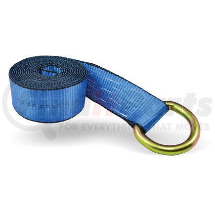 CC2812CDRBL by QUALITY CHAIN - 2" x 12' Lasso Strap, with Circle D-Ring (Wraps Around Tire), Blue