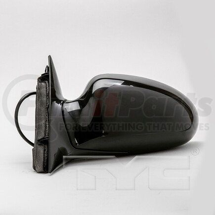 1010232 by TYC - Door Mirror