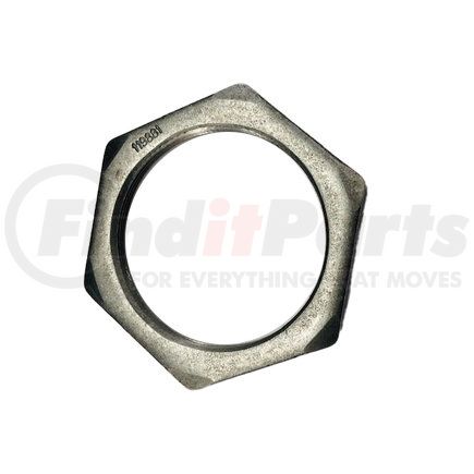 119881 by PACCAR - Wheel Bearing Nut - Outer
