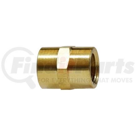 50785K94 by PACCAR - Pipe Fitting - Straight Adapter, 1/2" NPTF Female