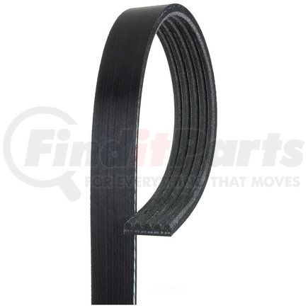 K050354SF by TRP - Accessory Drive Belt - Stretch Fit