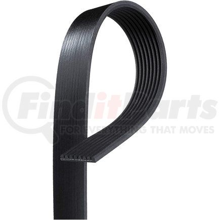 K080590 by TRP - Accessory Drive Belt - 8 Ribs, EPDM Rubber, 59-1/2" Length