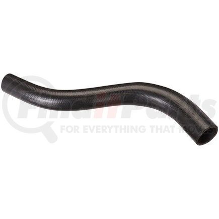 FNH041 by SPECTRA PREMIUM - Fuel Filler Hose