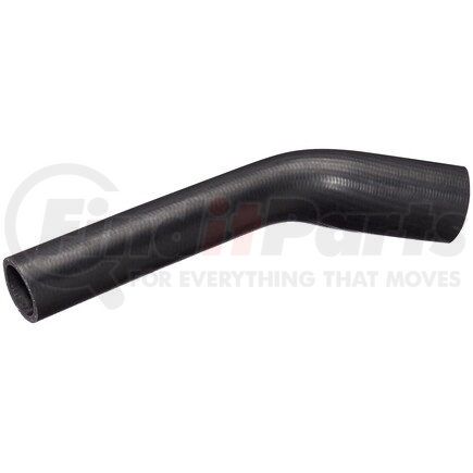 FNH056 by SPECTRA PREMIUM - Fuel Filler Hose