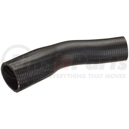 FNH077 by SPECTRA PREMIUM - Fuel Filler Hose