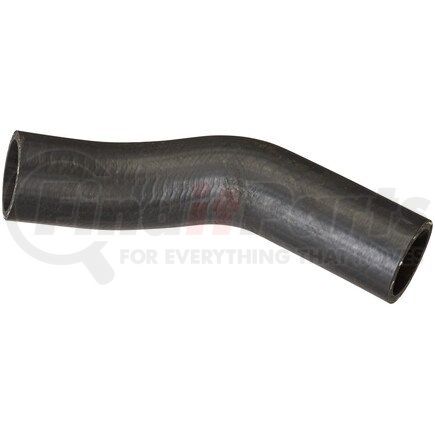 FNH099 by SPECTRA PREMIUM - Fuel Filler Hose