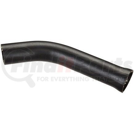 FNH121 by SPECTRA PREMIUM - Fuel Filler Hose