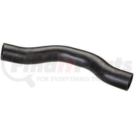 FNH124 by SPECTRA PREMIUM - Fuel Filler Hose