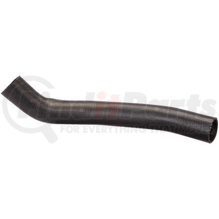 FNH155 by SPECTRA PREMIUM - Fuel Filler Hose