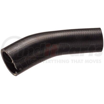 FNH149 by SPECTRA PREMIUM - Fuel Filler Hose