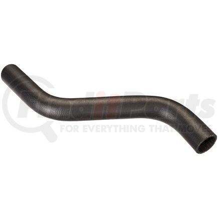 FNH164 by SPECTRA PREMIUM - Fuel Filler Hose