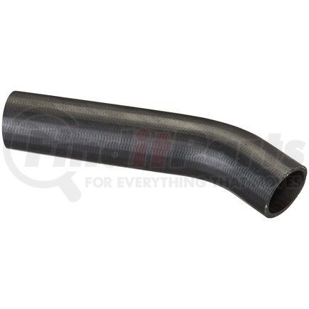 FNH166 by SPECTRA PREMIUM - Fuel Filler Hose