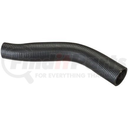 FNH174 by SPECTRA PREMIUM - Fuel Filler Hose