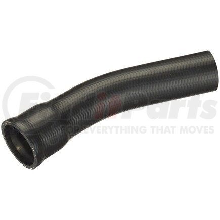 FNH178 by SPECTRA PREMIUM - Fuel Filler Hose