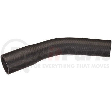 FNH199 by SPECTRA PREMIUM - Fuel Filler Hose