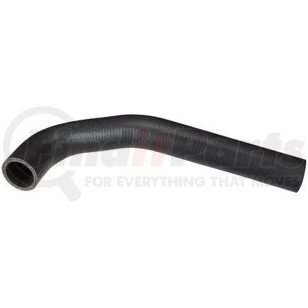 FNH215 by SPECTRA PREMIUM - Fuel Filler Hose