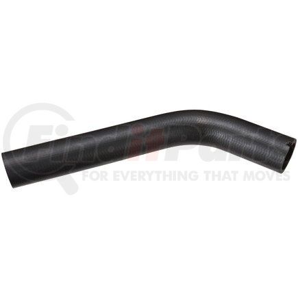 FNH234 by SPECTRA PREMIUM - Fuel Filler Hose