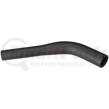 FNH229 by SPECTRA PREMIUM - Fuel Filler Hose