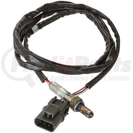 OS5379 by SPECTRA PREMIUM - Oxygen Sensor