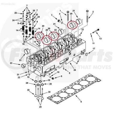 151559 by PAI - Engine Camshaft Bearing - For Injector Camshaft Requires 4 Bearings-#2, 3, 4 and 6 Cummins ISX Series Application