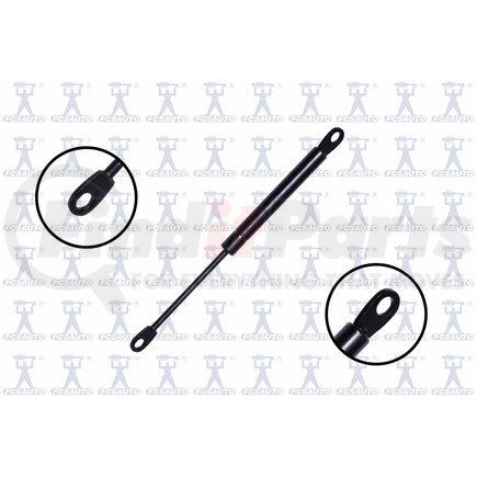 FCS Struts 84038 84038