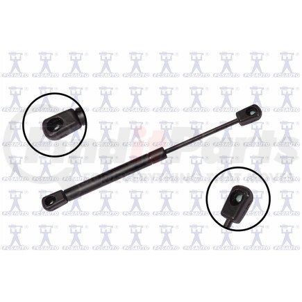 FCS Struts 84061 84061