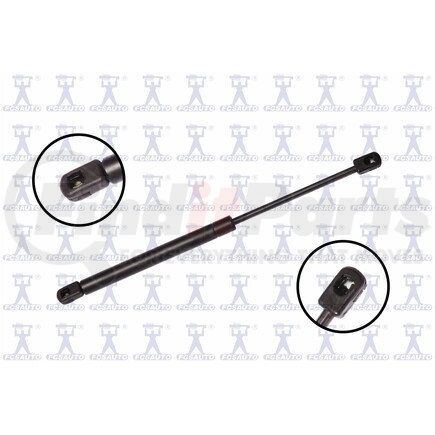FCS Struts 84464 84464