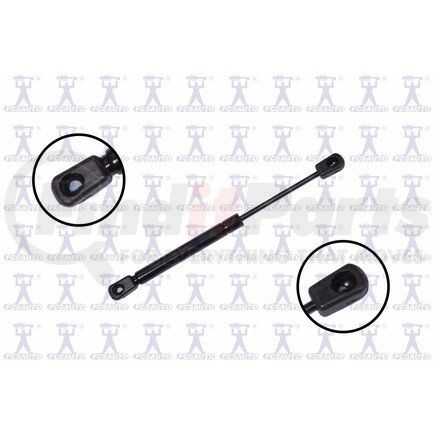 FCS Struts 86916 86916