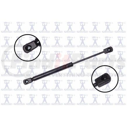 FCS Struts 86918 86918