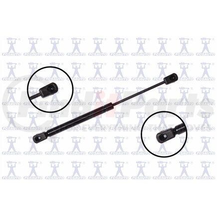 FCS Struts 86920 86920
