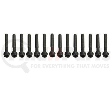 81006300 by CRP - HEAD BOLT SET