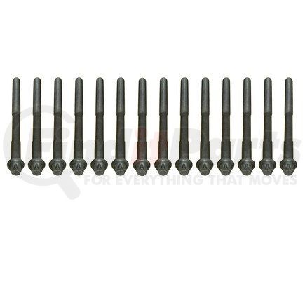 81004500 by CRP - HEAD BOLT SET