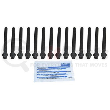 81024300 by CRP - HEAD BOLT SET