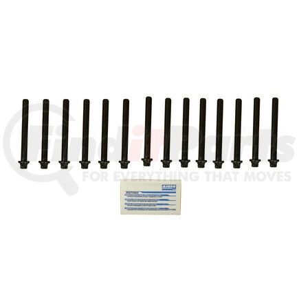 CRP 81029600 HEAD BOLT SET