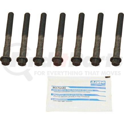 81046700 by CRP - HEAD BOLT SET