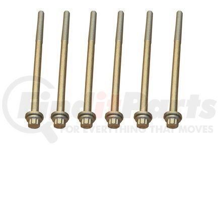 81046800 by CRP - HEAD BOLT SET