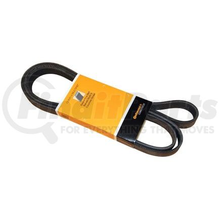 PK060836 by CRP - SERPENTINE BELT - PK06083