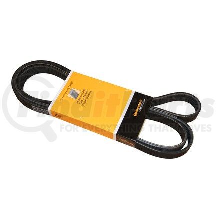 PK060841 by CRP - SERPENTINE BELT