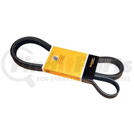 PK060947 by CRP - SERPENTINE BELT