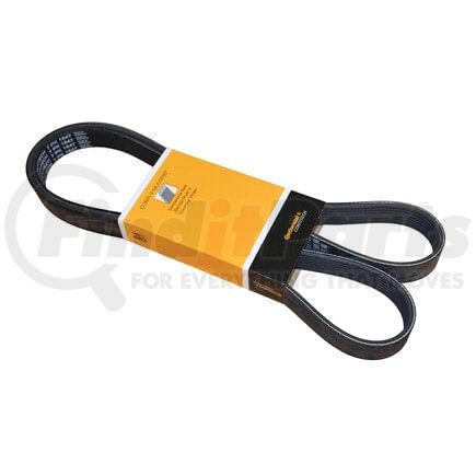 PK070647 by CRP - SERPENTINE BELT