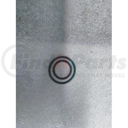 3015969C91 by NAVISTAR - INTERNATIONAL KIT,O RINGS CONNECTOR ASSY