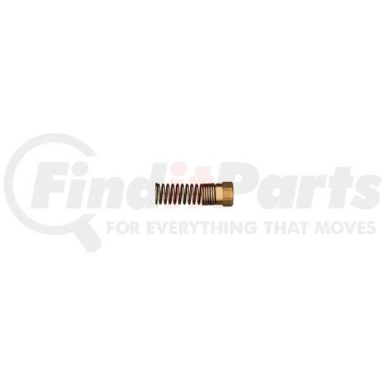 BWP-NSI M-1370 Air Brake Fitting Nut & Spring