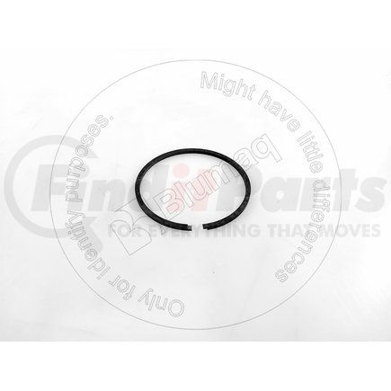707-44-11920 by BLUMAQ - RING