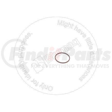 714-07-12290 by BLUMAQ - SEALING RING