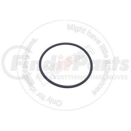 C01090A0N05 by BLUMAQ - Seal O-ring