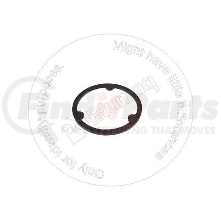 CA0134197 by BLUMAQ - WASHER