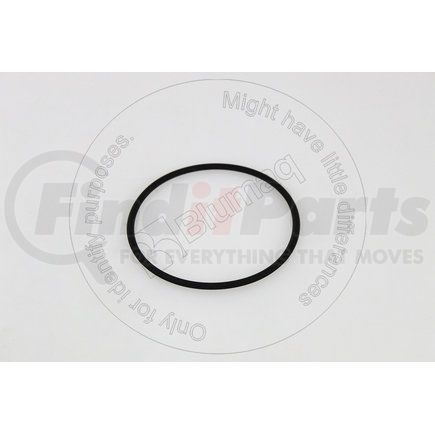 CK0040308 by BLUMAQ - SEAL O-RING