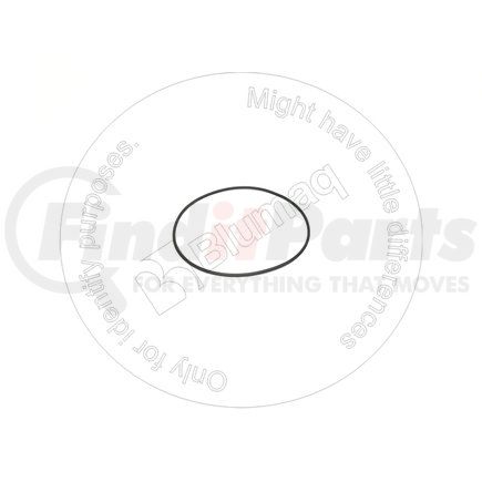 CS238-5257 by BLUMAQ - Seal O-ring