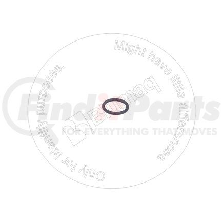 CS238-6116 by BLUMAQ - SEAL O-RING